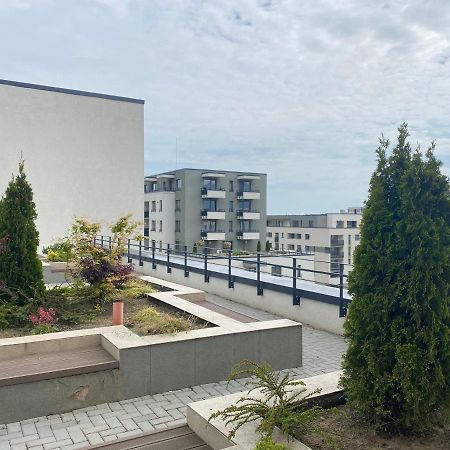 בראשוב Astoria Apartment - Pet Friendly מראה חיצוני תמונה